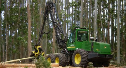 Sector forestal: en crecimiento constante desde que pasó a ser una política de Estado.