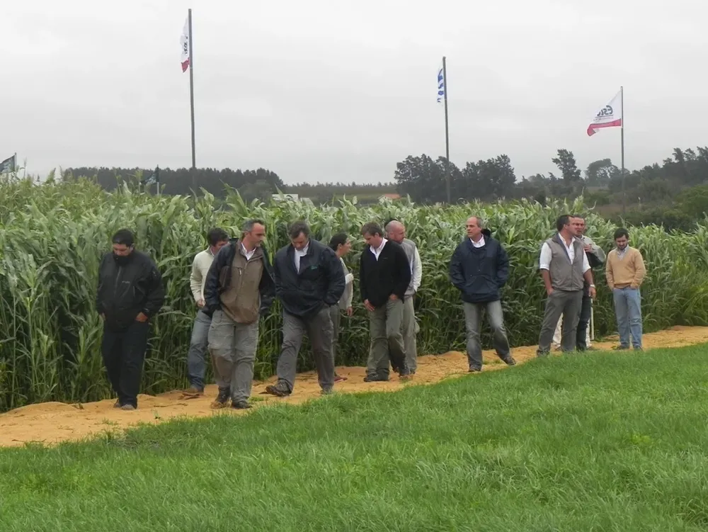 Un grupo de visitantes observa ensayos de cultivos forrajeros