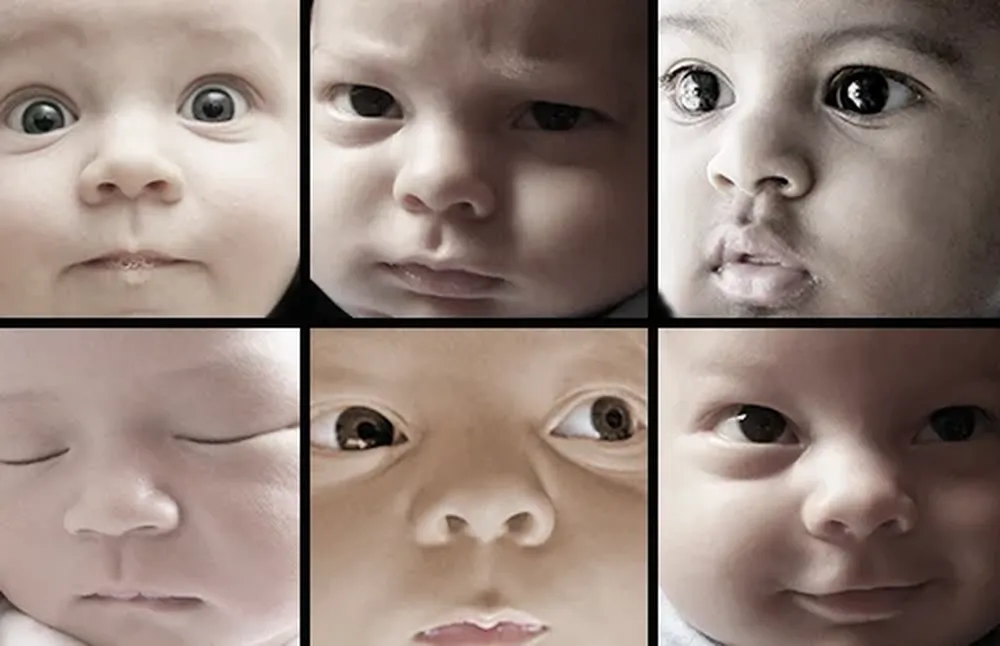 Las distintas reacciones frente al cambio climático