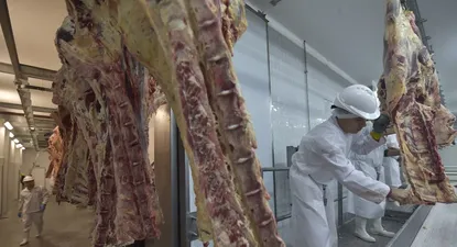 La suba y falta de ganado pasó factura a Minerva que para dos plantas en plena zafra