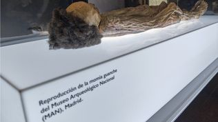 Los canarios esperan que su momia, la mejor conservada del mundo, vuelva a las islas