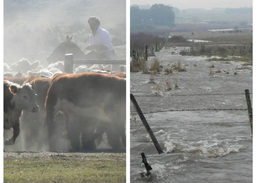 Sequía e inundación, eventos extremos.