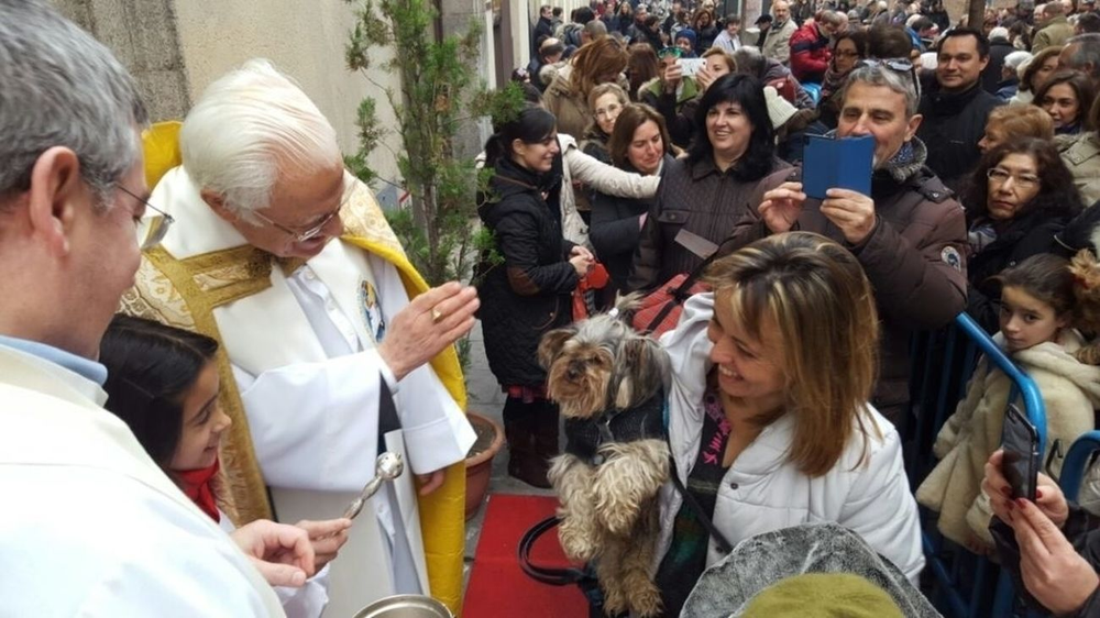 El padre Ángel, bendice a cientos de mascotas el día de San Antón.