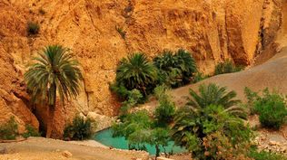 Por milenios, los oasis nos ha atraído y cautivado, y han ofrecido descanso al viajero del desierto, con piscinas al aire libre y el alivio de la sombra de las palmeras.