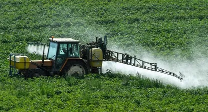 El Observador | 0029172844.webp