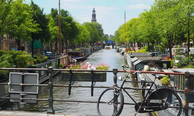 Holanda busca españoles que quieran trabajar de estas profesiones.