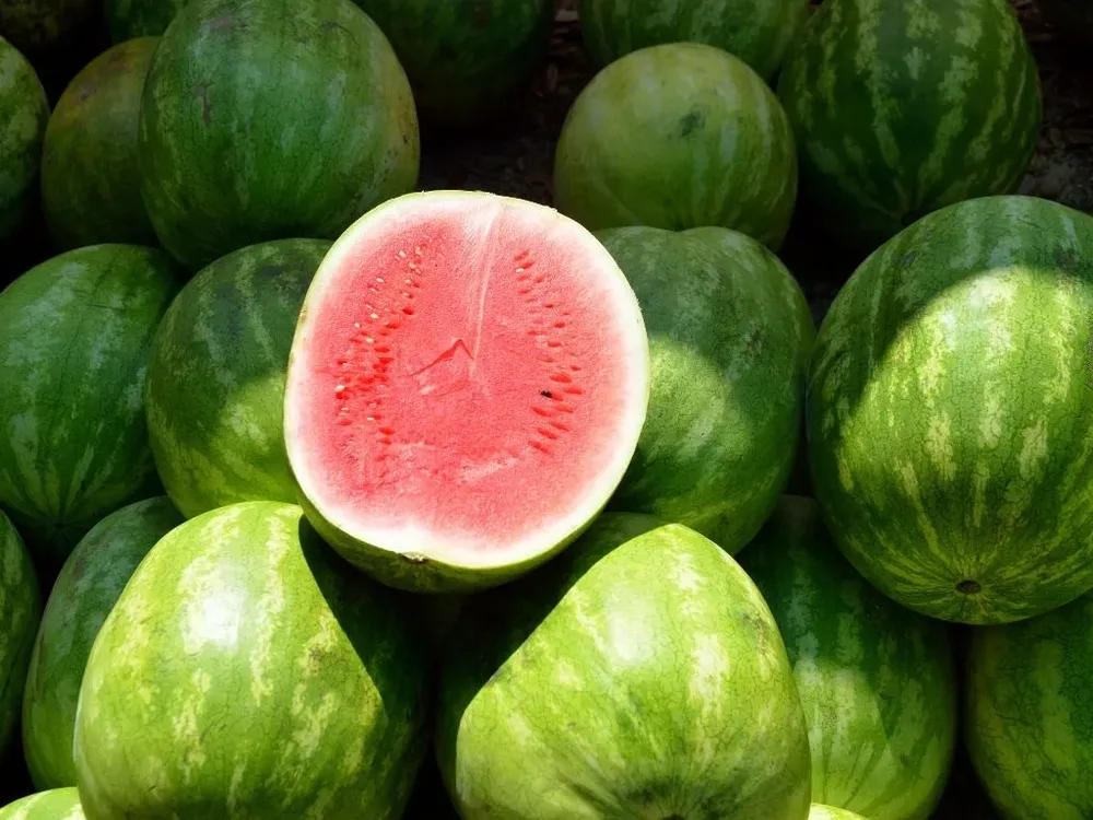 “Está cara pero se va rápido”, dijeron puesteros sobre la sandía.