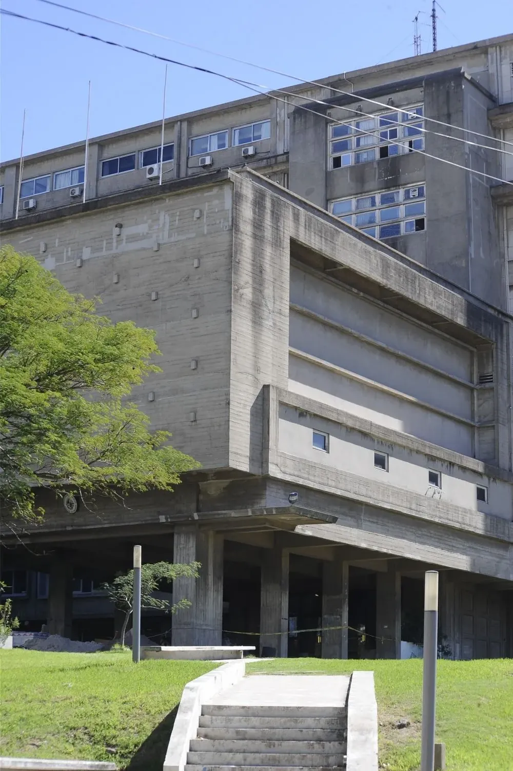 la educación superior tiene que preguntarse sobre qué conocimientos y competencias requieren desarrollar los jóvenes para liderar y gerenciar un renovado contrato social ecológico de puertas vaivenes entre sistema político, sociedad y educación