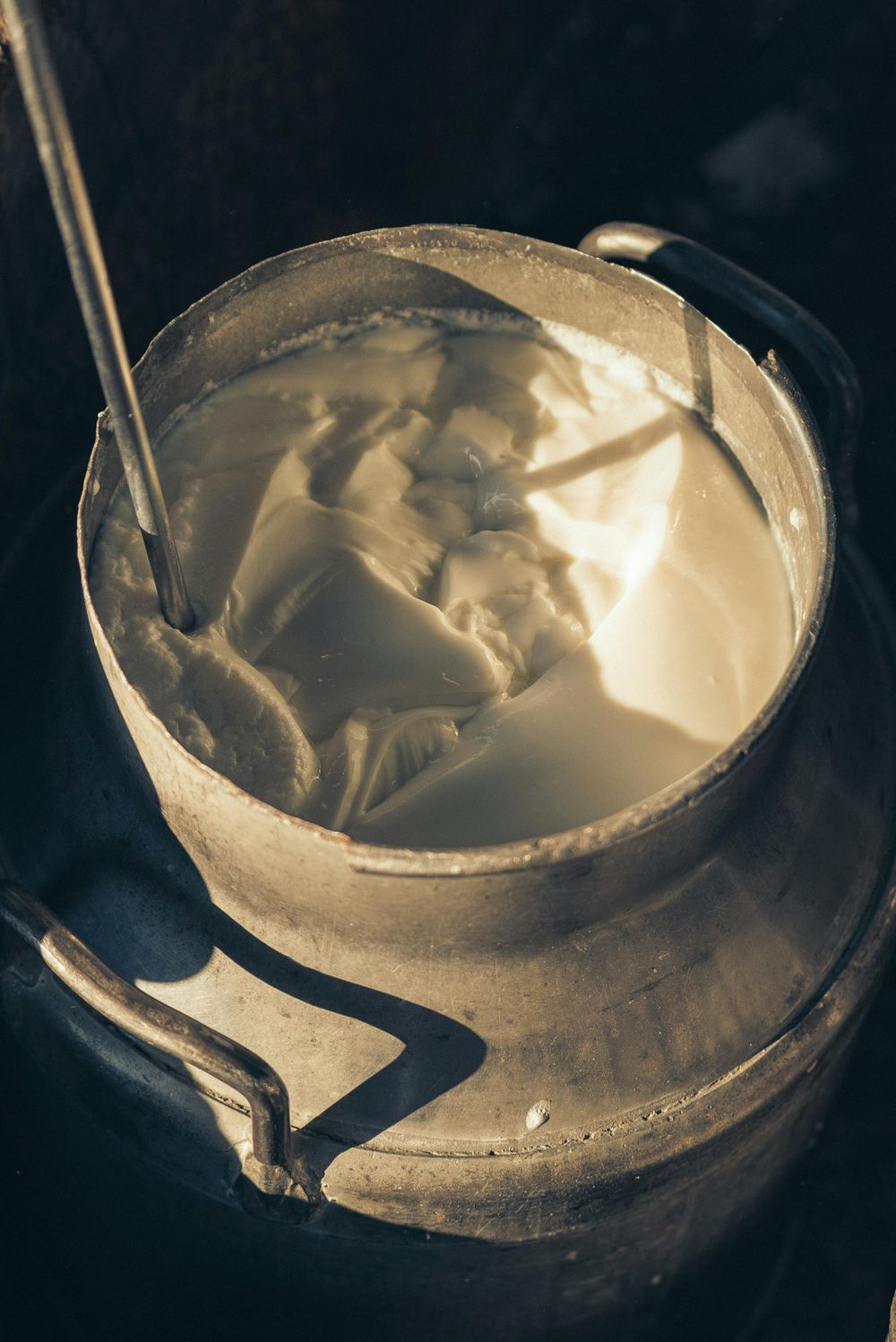 Leche: la remisión sigue mostrando que hay buenas productividades en los tambos.