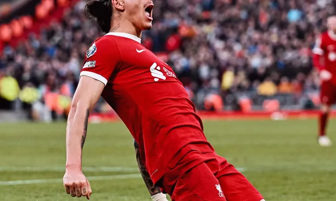 El festejo de Darwin