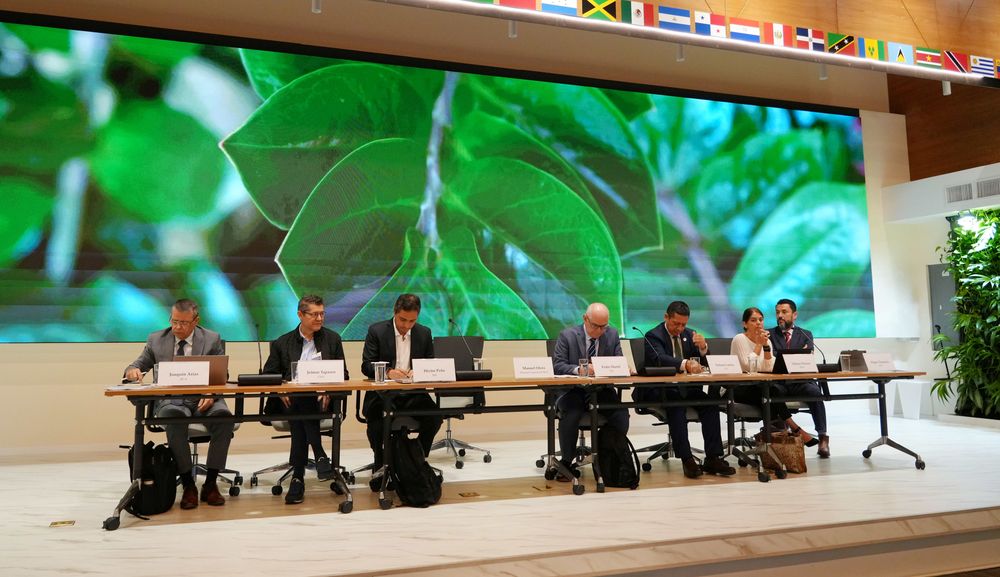 Joaquín Arias, Coordinador del Observatorio de Políticas Públicas para los Sistemas Agroalimentarios del IICA; Jeimar Tapasco, Investigador de la Alianza Bioversity-CIAT; Héctor Peña, Economista Especializado en Políticas Agropecuarias del Banco Mundial; Pedro Martel, Jefe de la División de Agricultura y Desarrollo Rural del BID; Nelson Larrea, Ejecutivo Principal de CAF en Liderazgo en Sostenibilidad Agropecuaria; Valeria Piñeiro, Economista Senior del IFPRI; y Hugo Chavarría, Gerente del Programa de Innovación y Bioeconomía del IICA.  