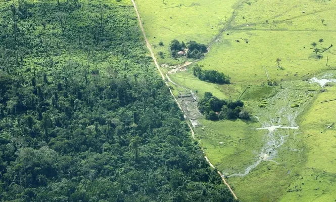 La visible deforestación en el Amazonas