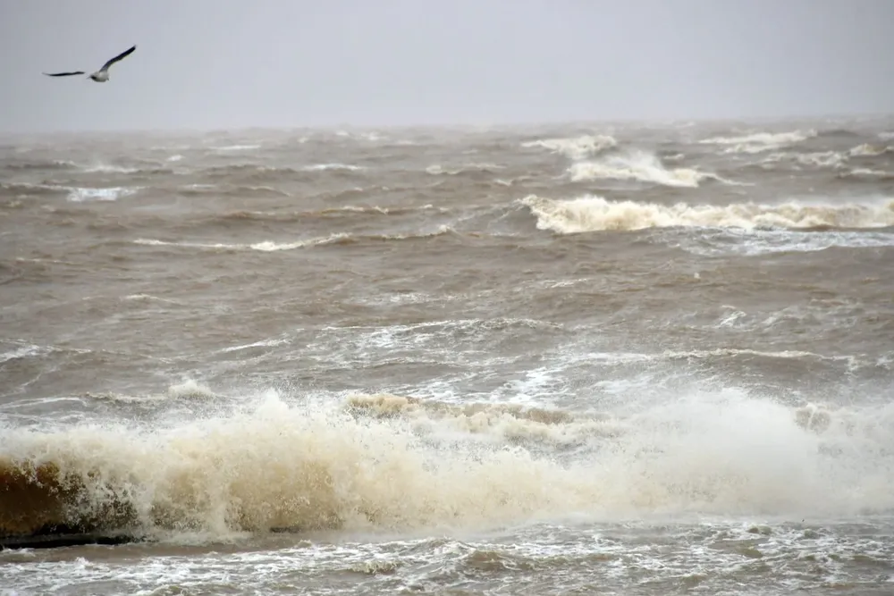 El torso de un hombre fue hallado en las aguas del Río de la Plata el pasado jueves