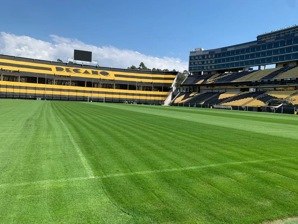 Así está el campo de juego