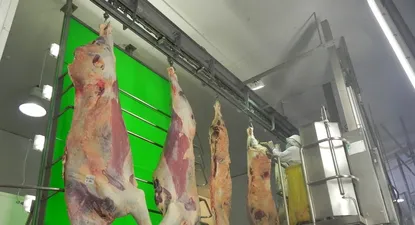 El Observador | 1639080683199.webp