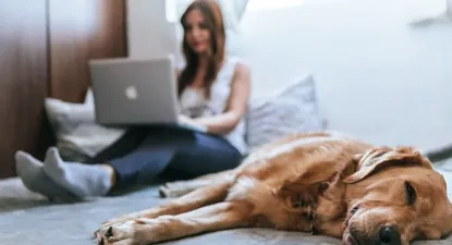 En Latinoamérica la contratación internacional creció un 161% en el último semestre y sigue en aumento, indicó el análisis