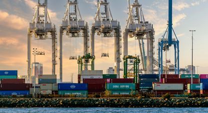 Exportaciones: carne vacuna, celulosa y lácteos en el podio de enero.