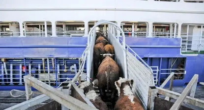 El Observador | 0021891051.webp