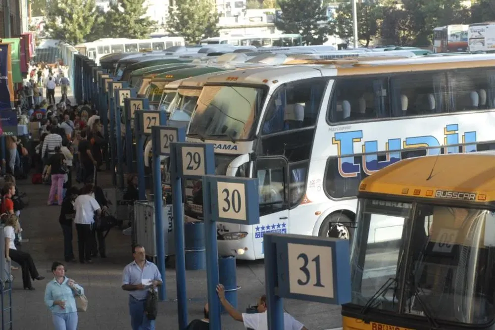 Omnibus