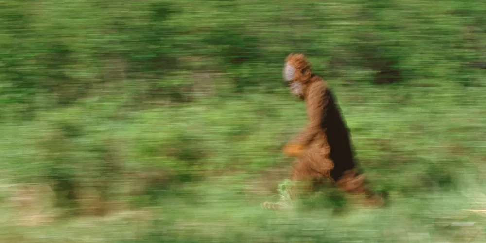 Una de las tantas imágenes que dicen constatar la existencia de Pie Grande