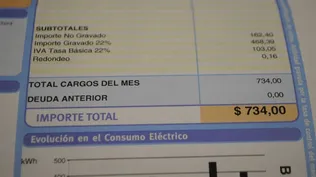Gobierno publicó decreto con error y suba de UTE regirá desde abril y no en marzo