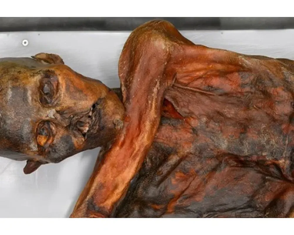 El cuerpo momificado data de unos 5.300 años