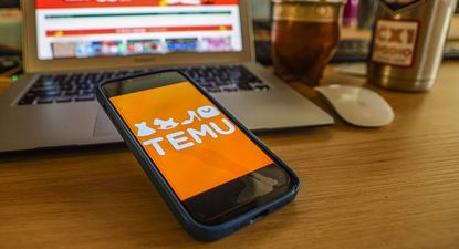 Compras web en Temu