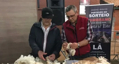 El Observador | 0019948803.webp