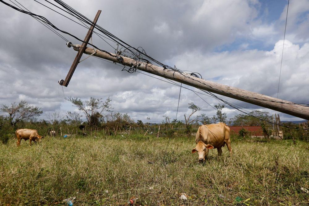 https://www.bbc.com/mundo/articles/c9v1dwd4dvlo