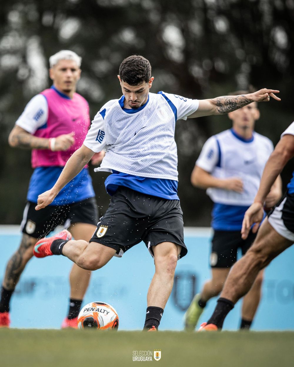 Agustín Álvarez Martínez convocado a la selección uruguaya de Marcelo Bielsa