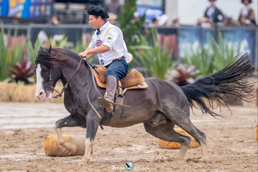 Gabriel Marty con Colibrí Matrero.