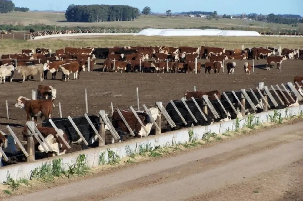 El Estado de Paraná en Brasil intenta adelantar el cese de vacunación contra fiebre aftosa para 2018