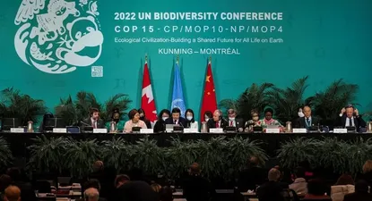 La movilización de recursos, como la denominan los participantes de la 15º Conferencia de Naciones Unidas sobre Biodiversidad (COP15), atraviesa todas las negociaciones que buscan delinear un acuerdo lo suficientemente ambicioso como para detener la destrucción de los recursos naturales y las especies silvestre.