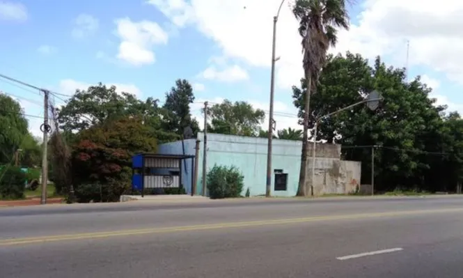 Cartelera semanal de subastas