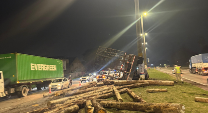 desprendimiento de acoplado de camion cargado con troncos afecto el transito en los accesos a montevideo