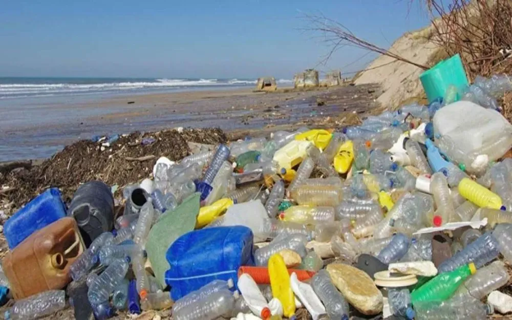 Aunque representa casi la mitad del planeta y más del 60% de los océanos, la altamar fue ignorada en la batalla medioambiental.