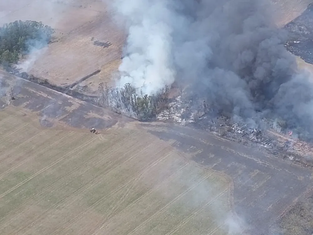 Hubo cinco incendios forestales en el departamento de Canelones