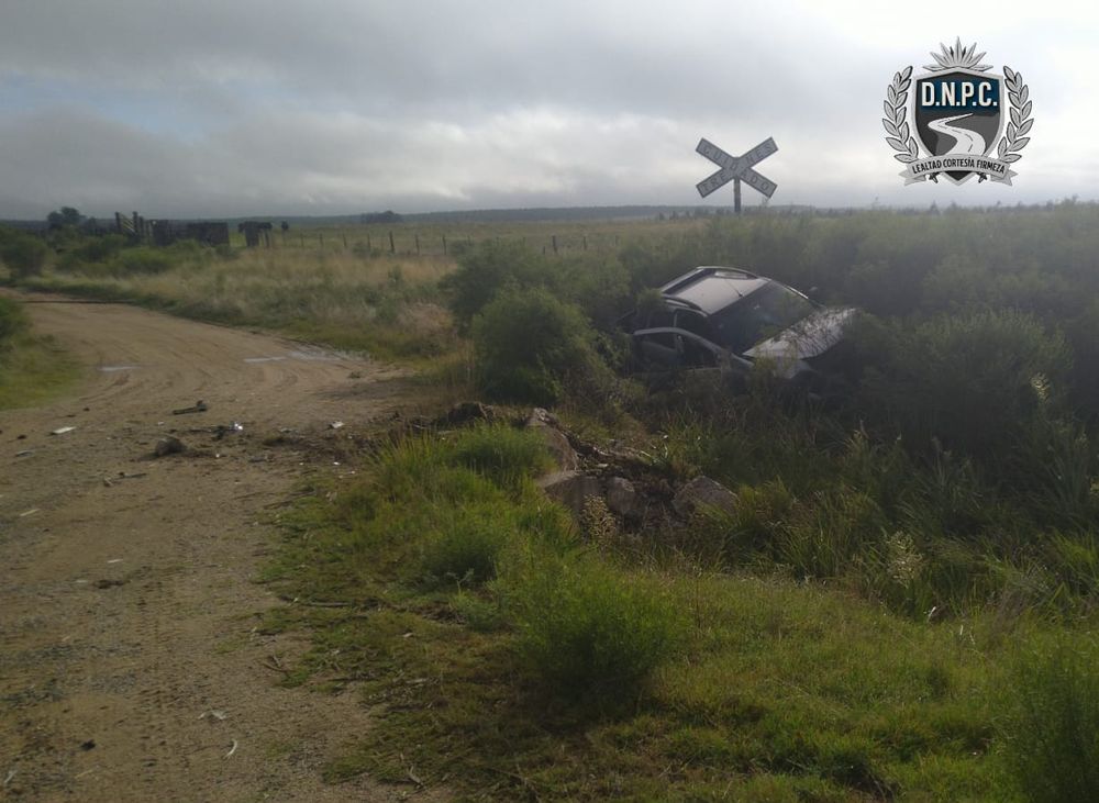 WhatsApp Image 2026-02-20 at 11.05.01