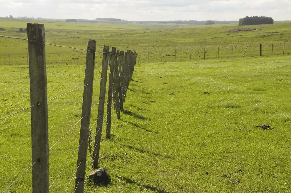 Campo en Florida, próximo a Molles del Timote.