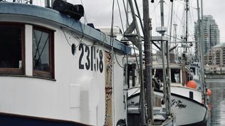 Pesca: un sector que en Uruguay soportó dificultades durante el 2024.