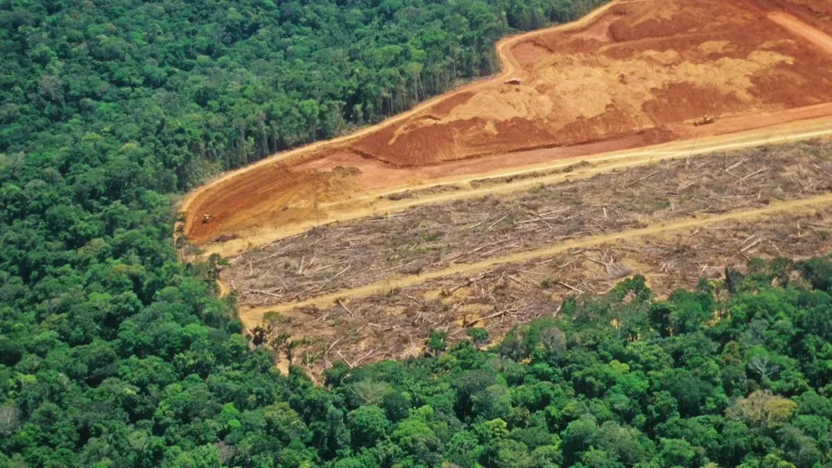 La ley contra la deforestación avanza en la UE, pese a la presión y el fuego cruzado