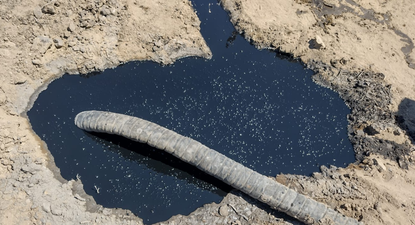 En Neuquén creen que en los alrededores también podrían encontrar el mismo liquido