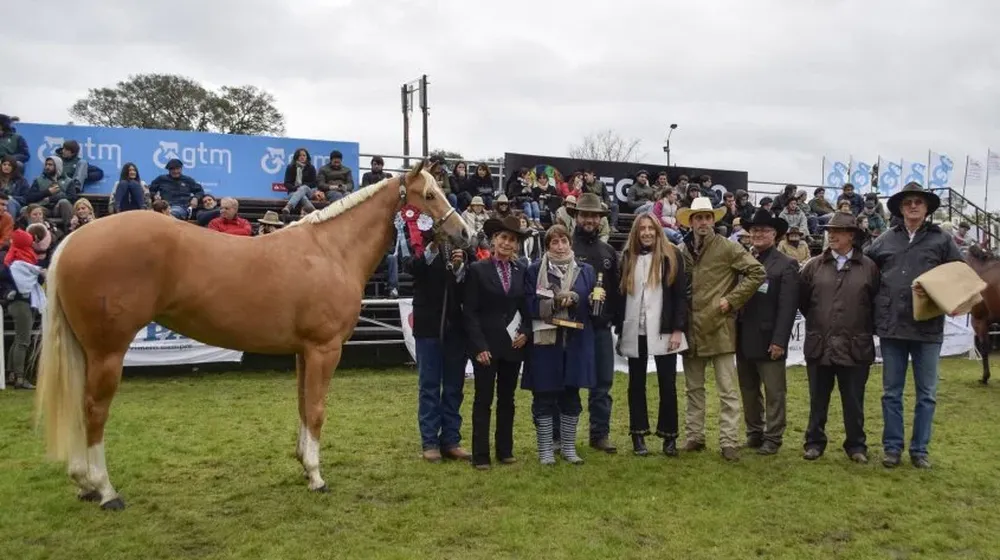 La Gran Campeona en la raza Cuarto de Milla, de El Mayoral.