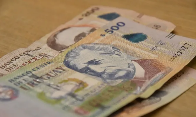 El poder de compra dejó de caer en julio tras ajustes en públicos y privados