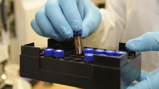 La industrias químicas y farmacéuticas han mostrado un fuerte dinamismo.