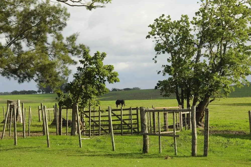 Colonización avanzó en la entrega de las tierras que tenía para distribuir a nuevos colonos.
