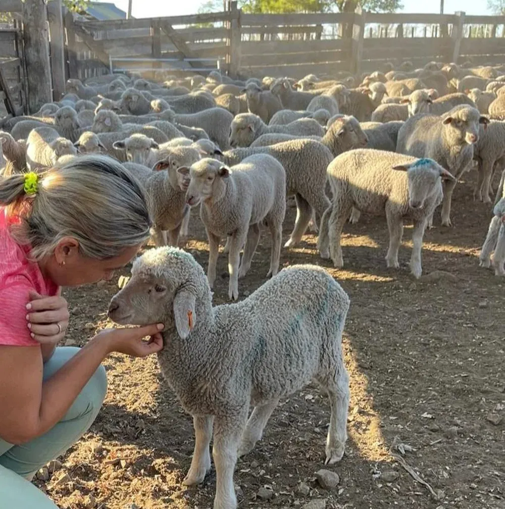 Ána Araújo representa a Campo Unido en el INBA.
