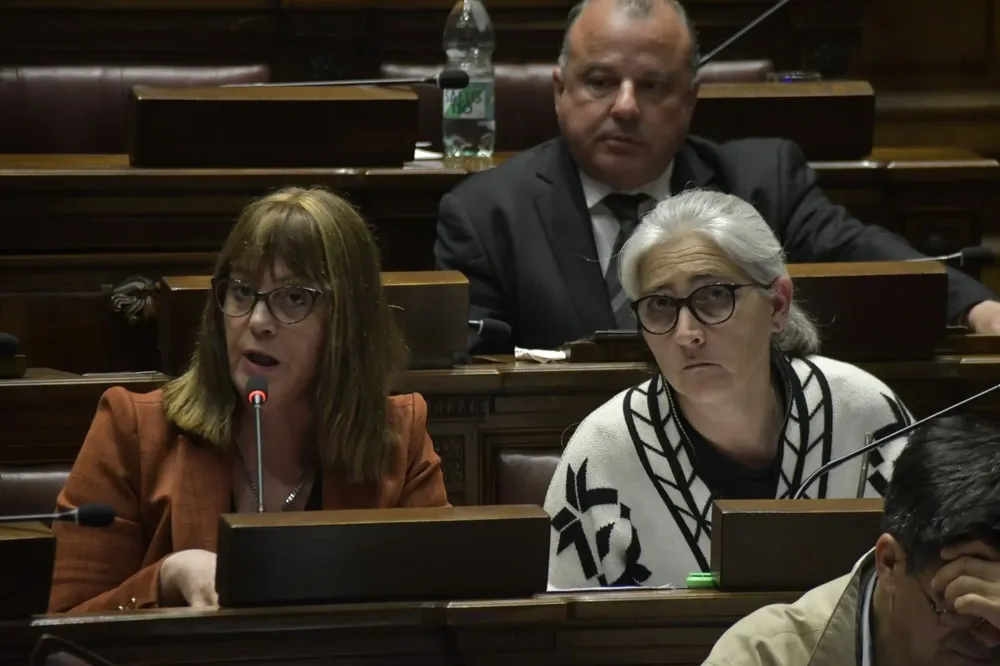 Cecilia Cairo y Lucía Etcheverry, diputadas del MPP