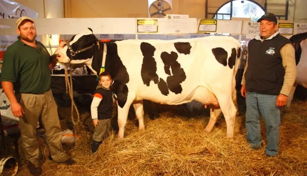 La Holando ganadora del concurso de producción