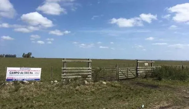 Rematan campo de 555 hectáreas ubicado en Tacuarembó